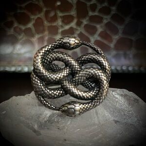 Sterling Silver Ouroboros Double Snake Ring